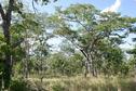 #2: View to the North from the Confluence