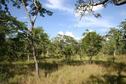 #3: View to the East from the Confluence