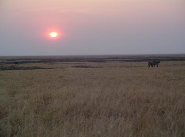 Sunset at Fox's Safari Camp