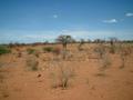 #4: View west