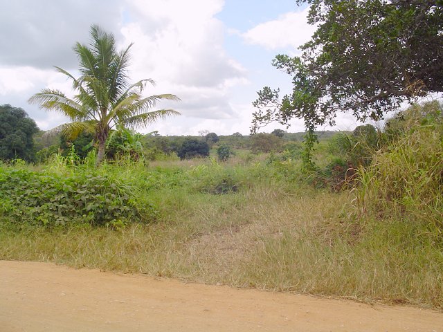 Leaving the gravel road