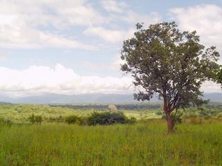 #1: View over the area of the Confluence