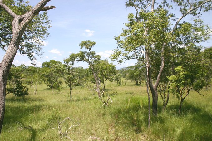 View to the South of the Confluence