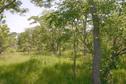 #3: View to the West of the Confluence