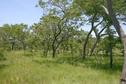 #5: View to the East of the Confluence