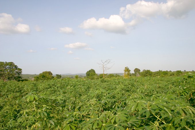 View to the East of the Confluence