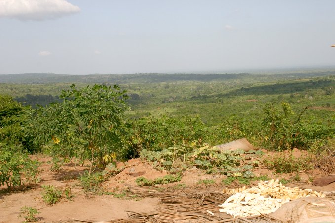 The area of the Confluence (Pugu Hills)