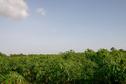 #4: View to the West of the Confluence