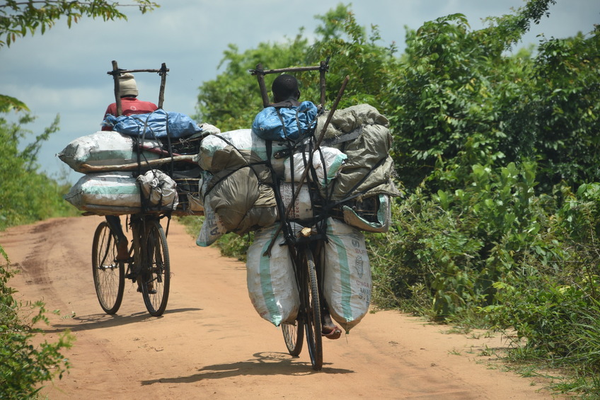 Amazing load and skill in coming down a hill we had trouble with a SUV