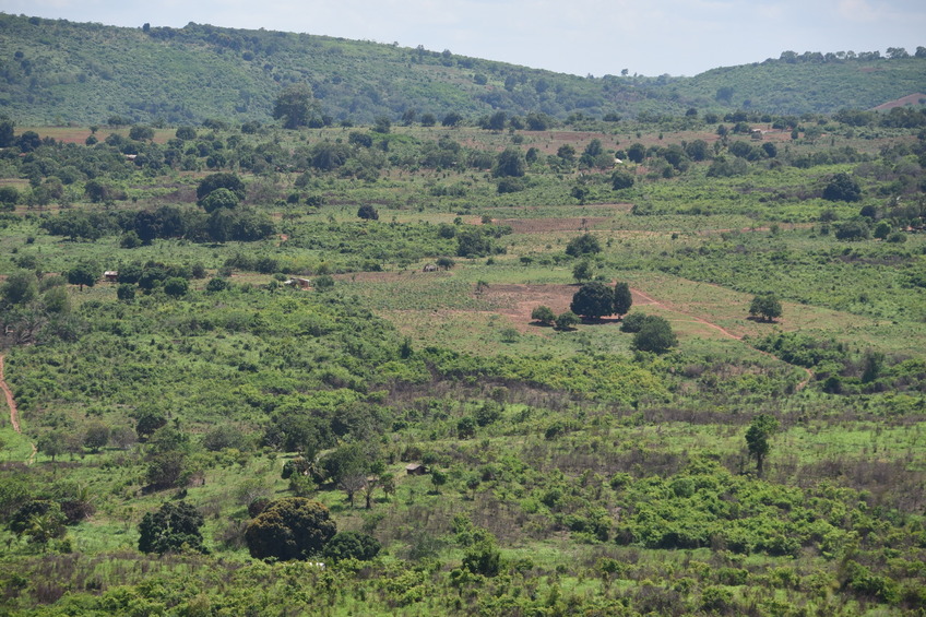 Distant view of the confluence point area - about 1 km