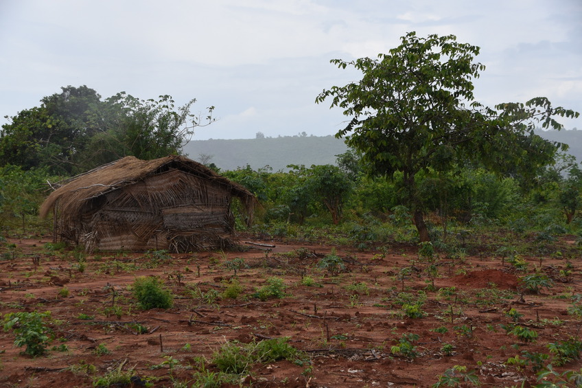 Nearest farm house - about 50 meters from the confluence point