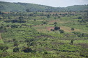 #7: Distant view of the confluence point area - about 1 km