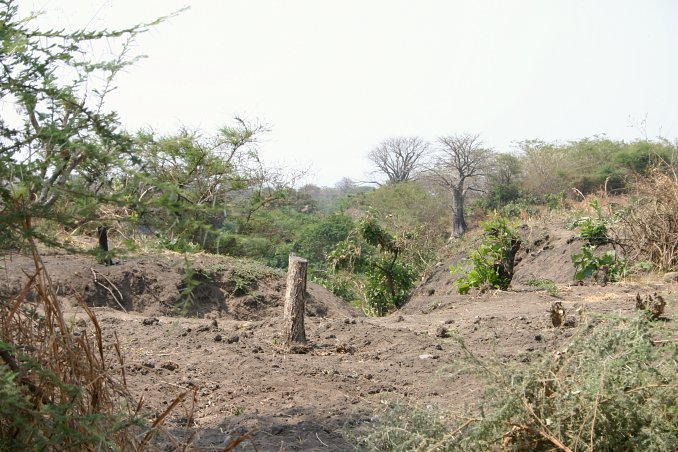 View towards the area of the Confluence