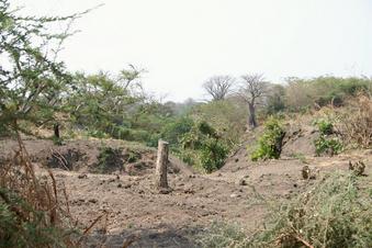 #1: View towards the area of the Confluence