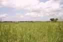 #9: View over the floodplains of Rufiji River