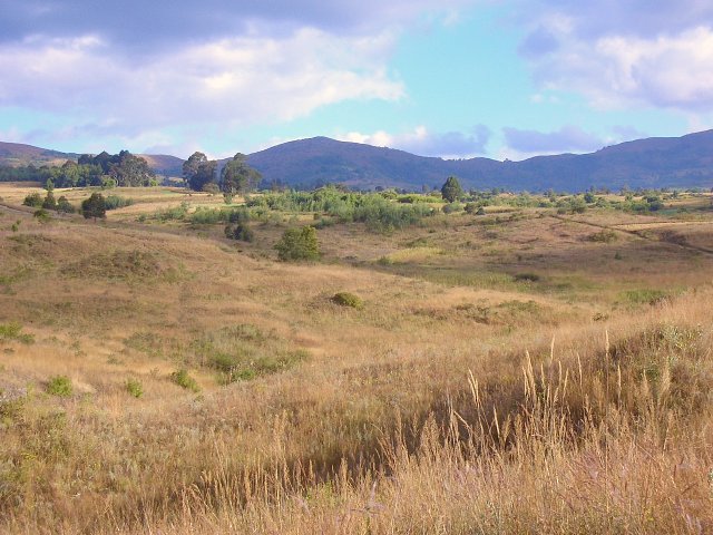 Looking South from the CP