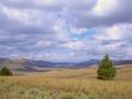 #10: Beautiful mountain meadows that you can't believe exist in Tanzania!