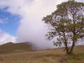 #9: As we passed the wall of fog we burst out to a beautiful blue sky day!