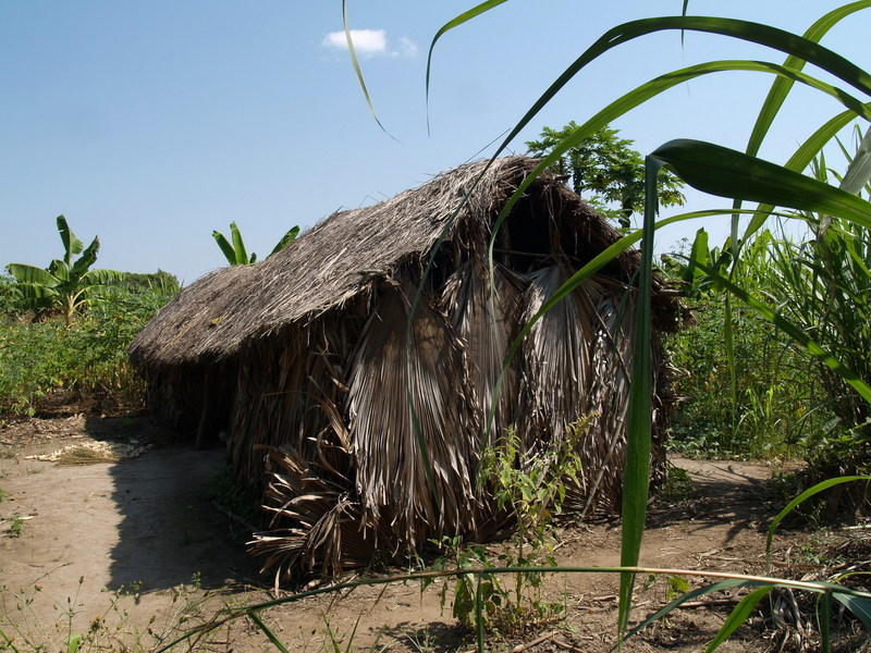 Traditional house