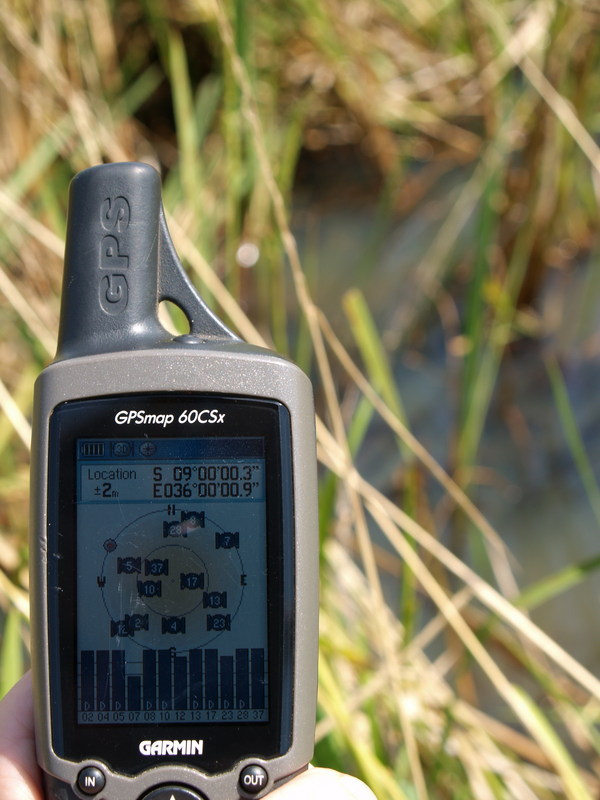 GPS in the rice field