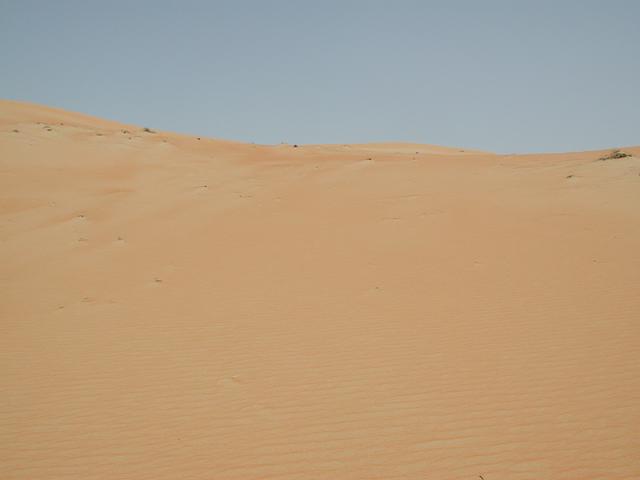 The view south