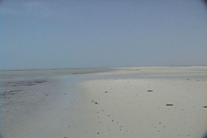 24N 52E "Attempt", view to the East from the shore.