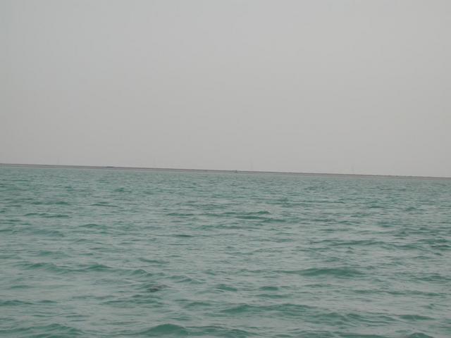 View to land, taken from a point about 800 m south of the Confluence