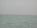 #4: View to the east, with the sandy spit emerging at low tide