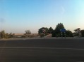 #2: Vegetation along the highway, due north of the Confluence.