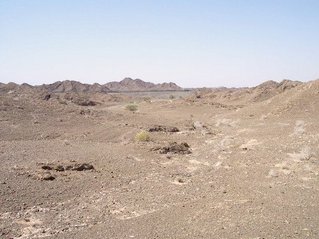 #1: General view of area, looking South