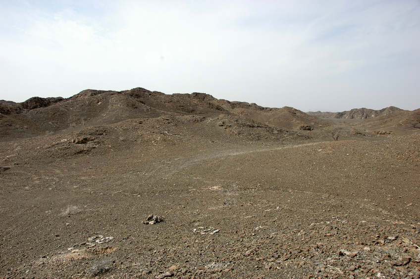 View towards West