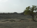 #7: The border fence, about 400 m from the confluence point