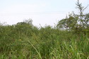 #2: View to the East