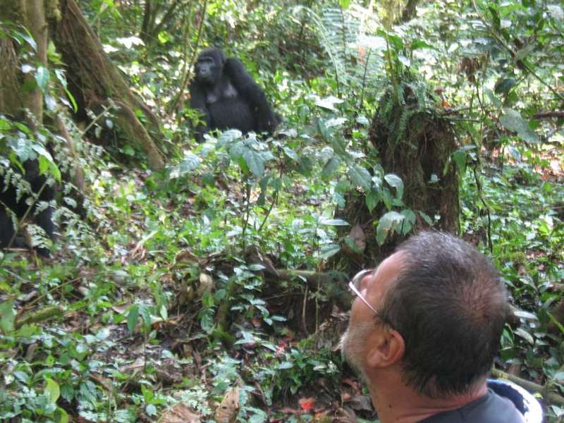 Helmut with the gorillas