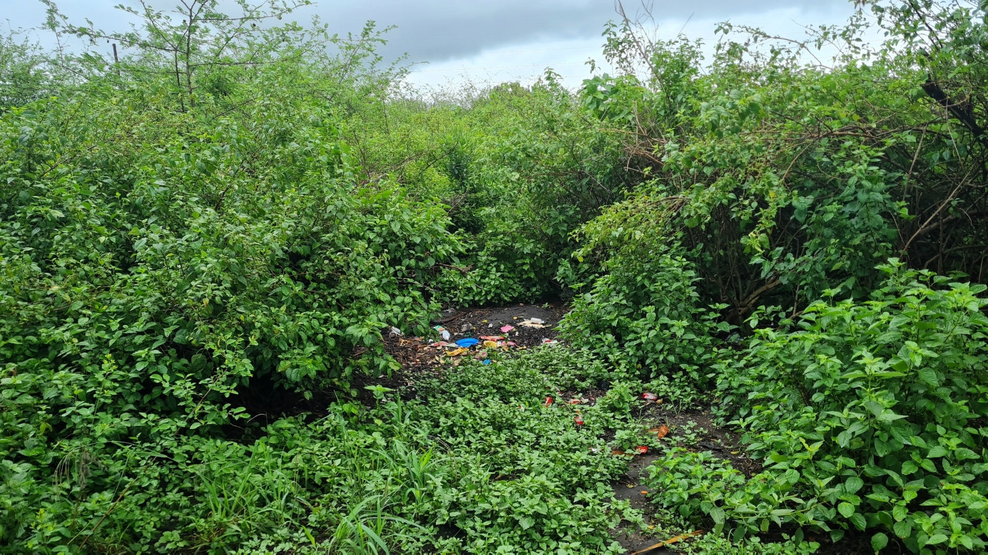 The Confluence Point, view from west, distance 10 m