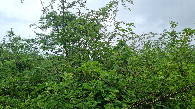 #2: View to the North