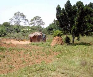 #1: View from the Confluence. That is a termite mound next to the house.