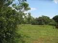 #3: East
