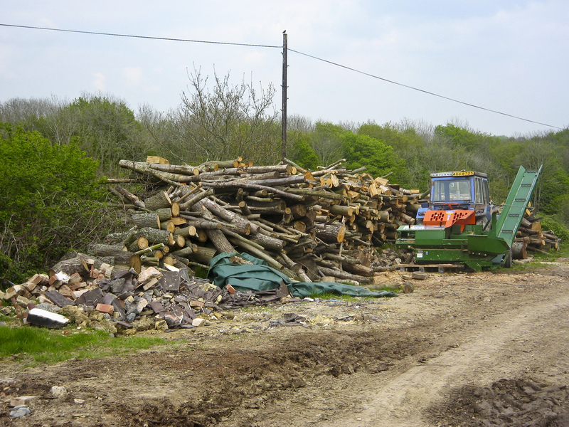 Wood cutting