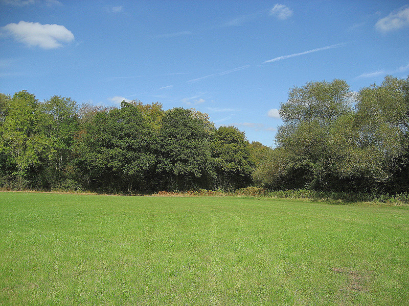 Looking North from the confluence