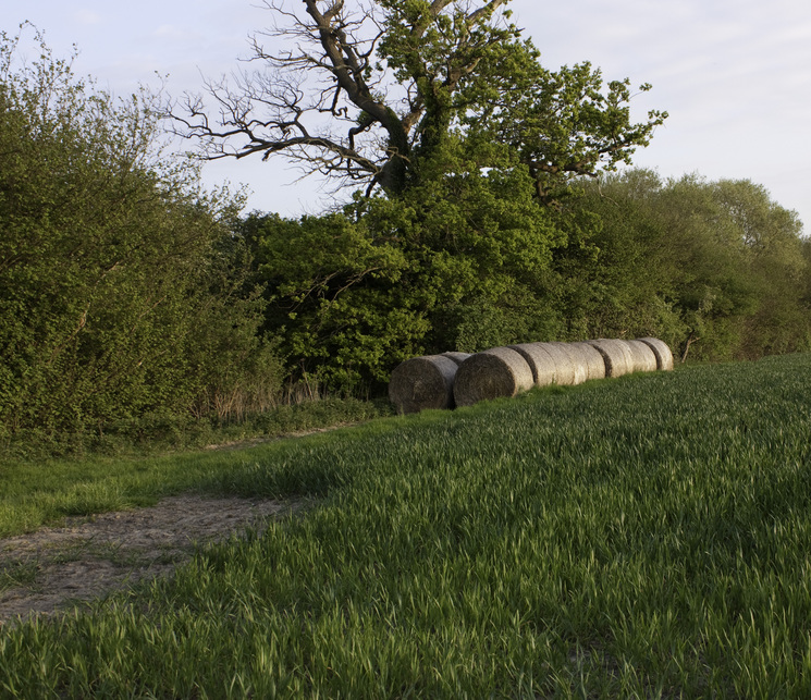 Hay bales