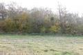 Visit #19: [14-Nov-12]