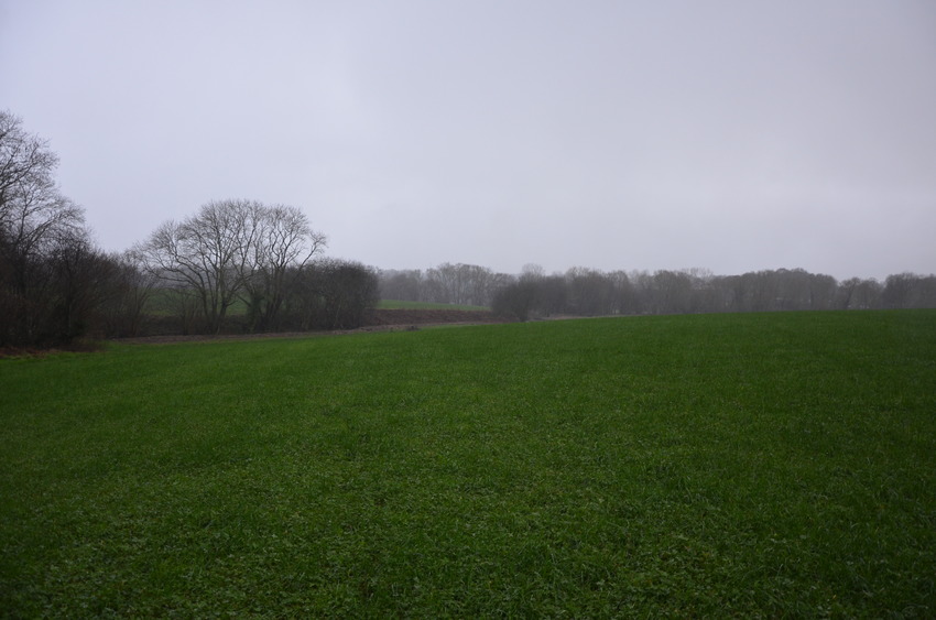South