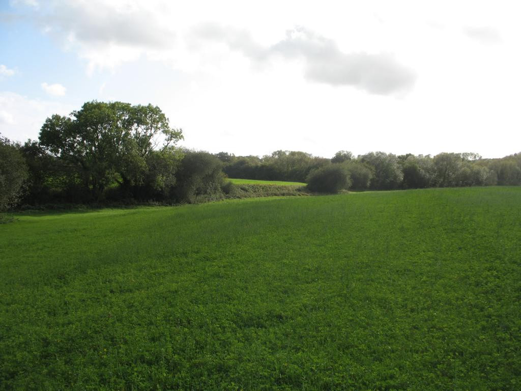 Süden; view south