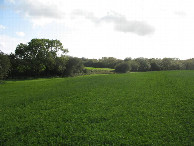 #3: Süden; view south