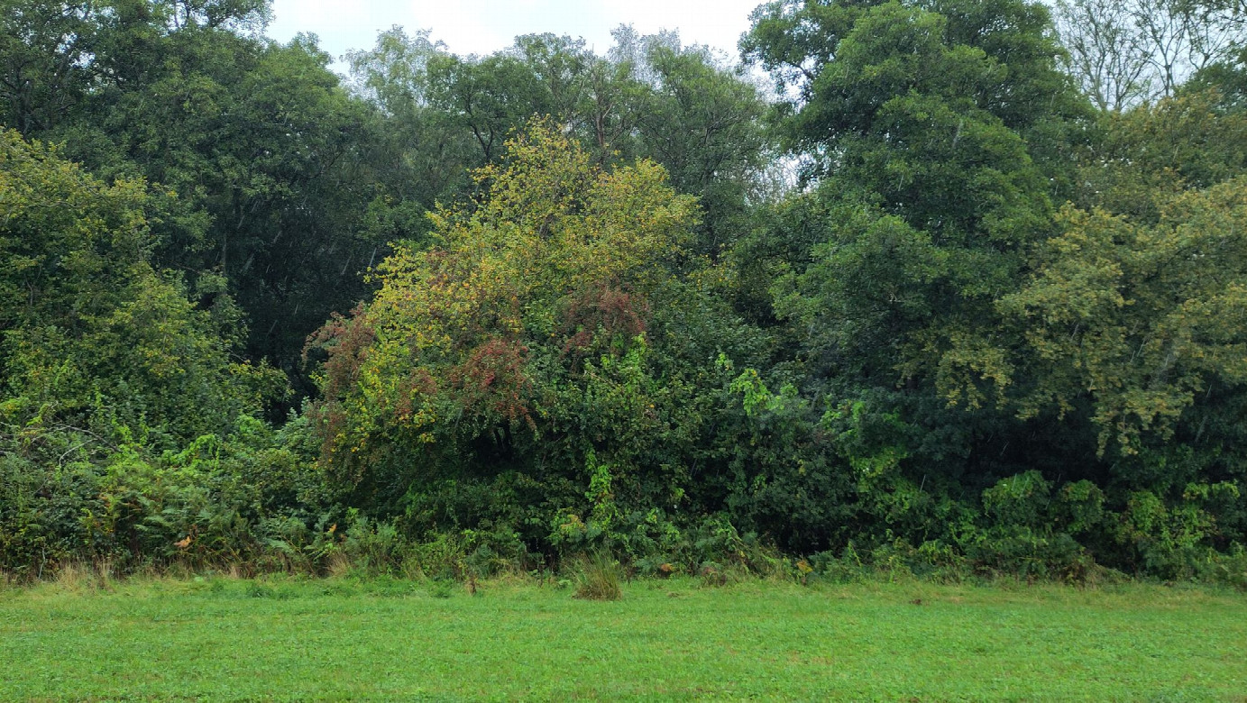 view to the east