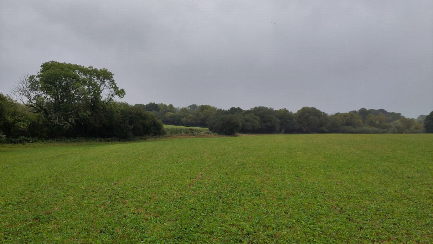 view to the south