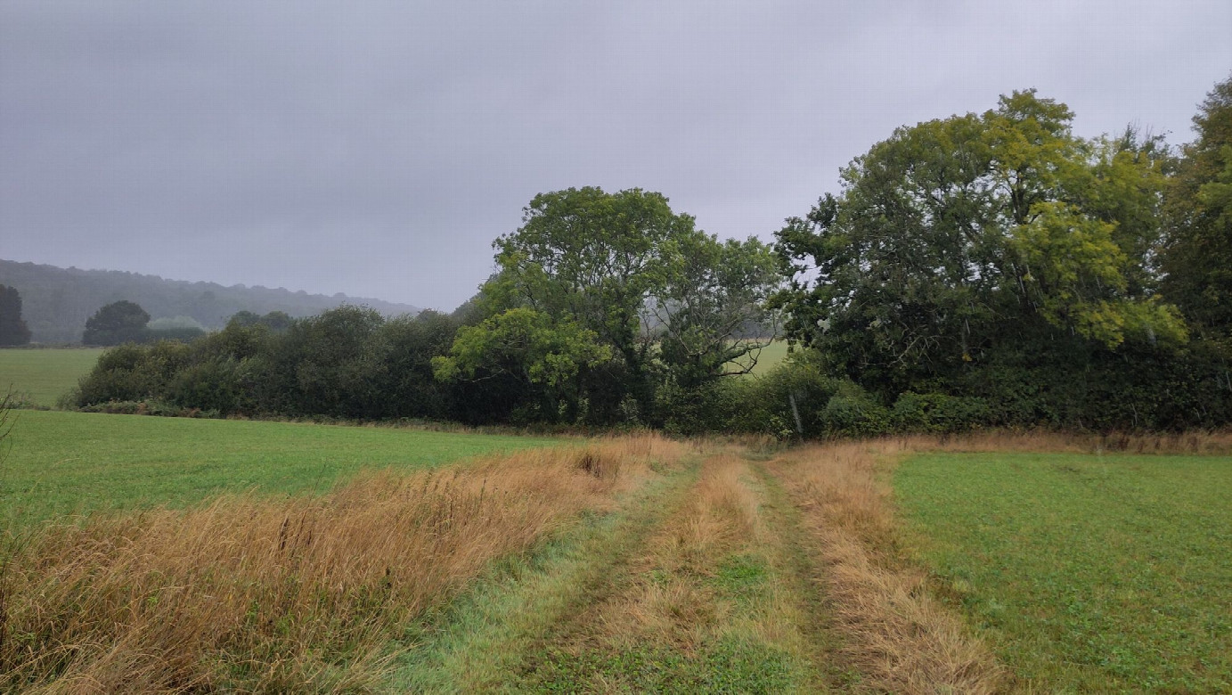 way to the CP