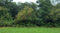 #3: view to the east