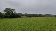 #4: view to the south